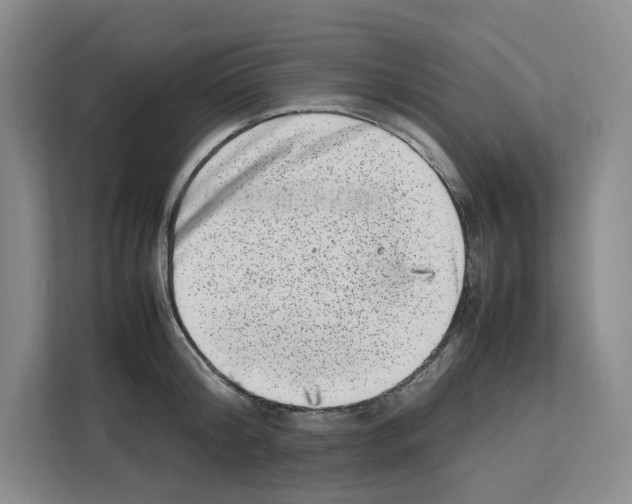 X0000111660804200908281108