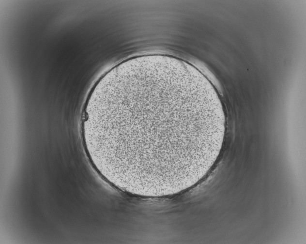 X0000111660805200908281108