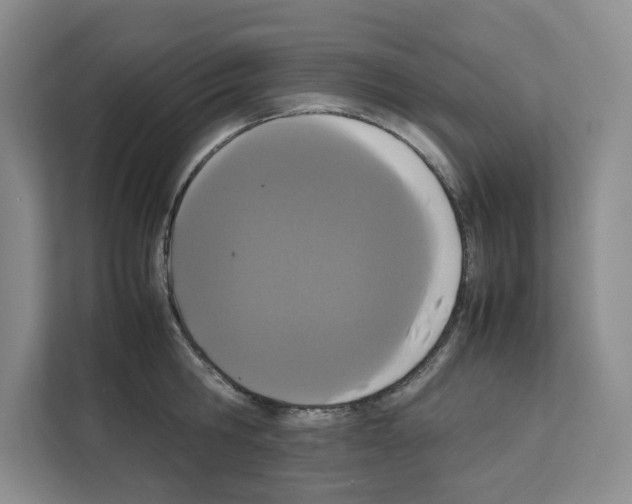 X0000111660806200908281108