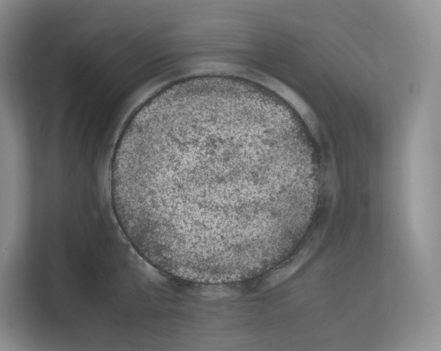 X0000111660807200908281108