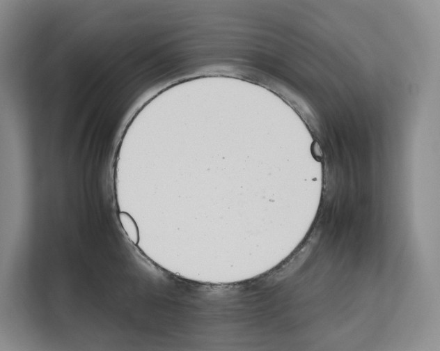 X0000111660808200908281108