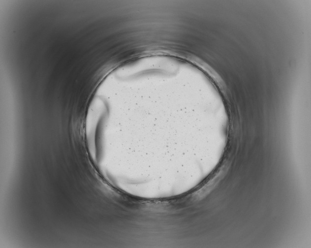 X0000111660809200908281108