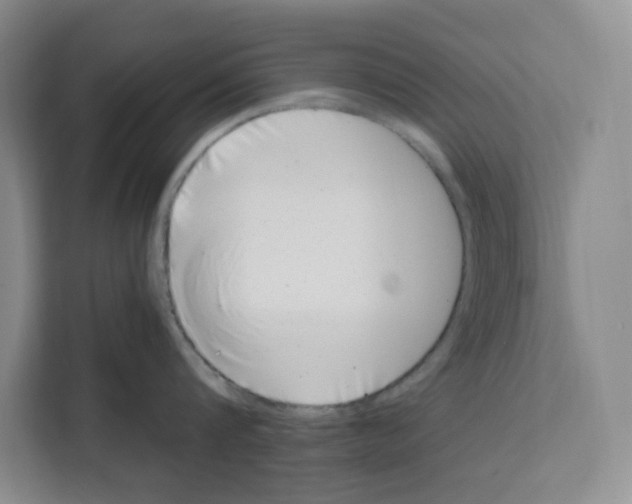 X0000111660816200908281108