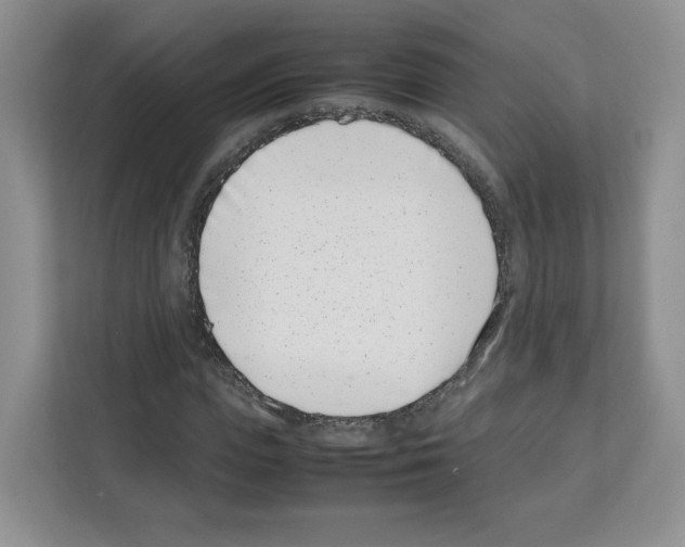 X0000111660823200908281107