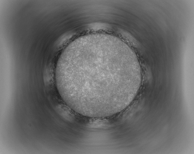 X0000111660824200908281107