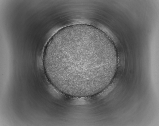 X0000111660828200908281107