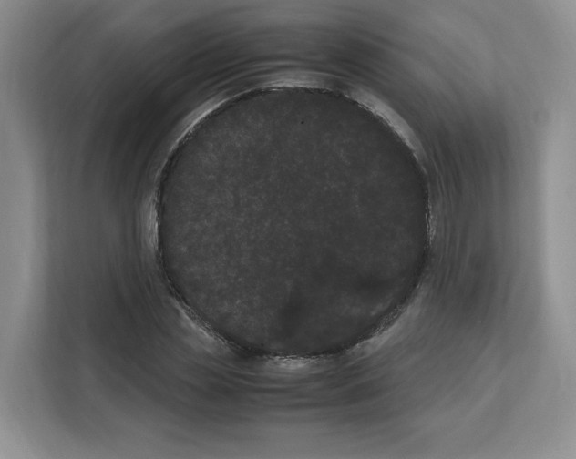 X0000111660829200908281107