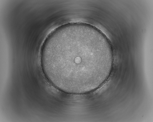 X0000111660832200908281108