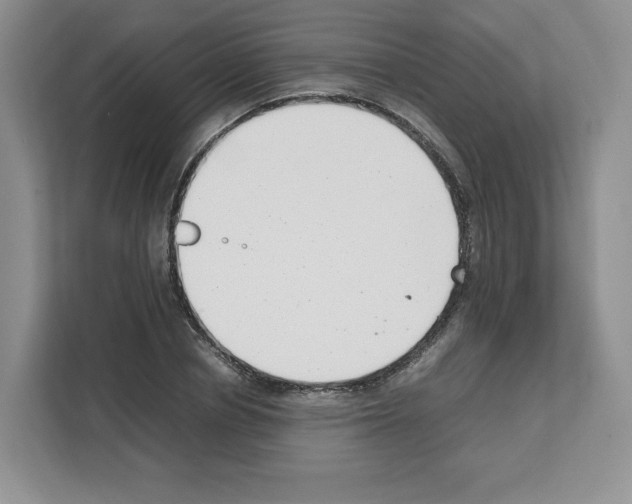 X0000111660834200908281108