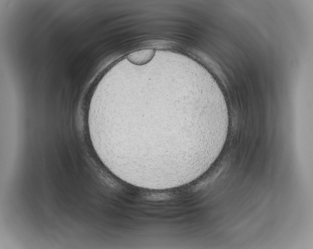 X0000111660835200908281108