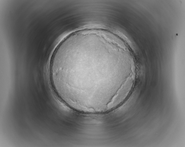 X0000111660836200908281108