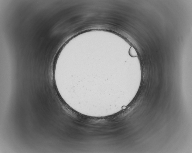 X0000111660837200908281108