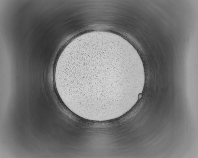 X0000111660840200908281108