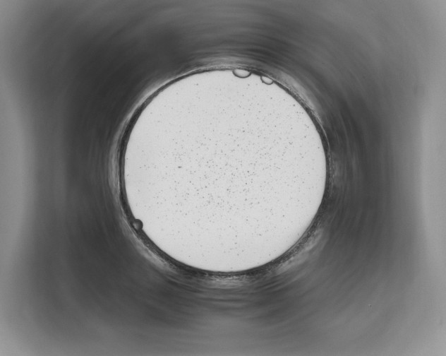 X0000111660843200908281108