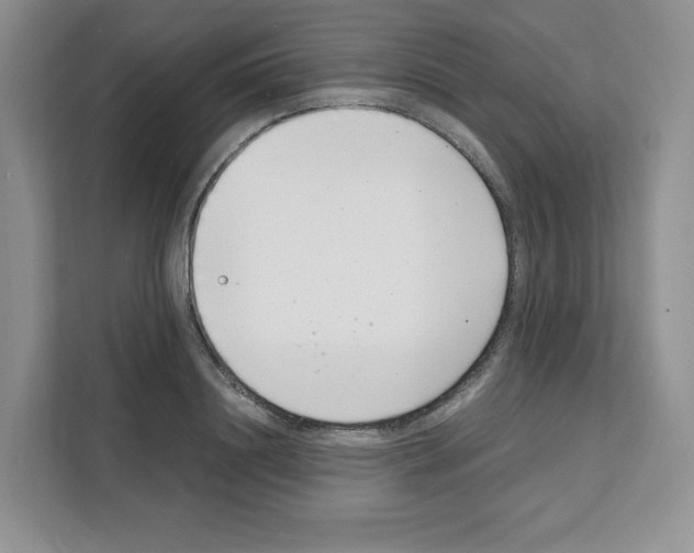 X0000111660844200908281108