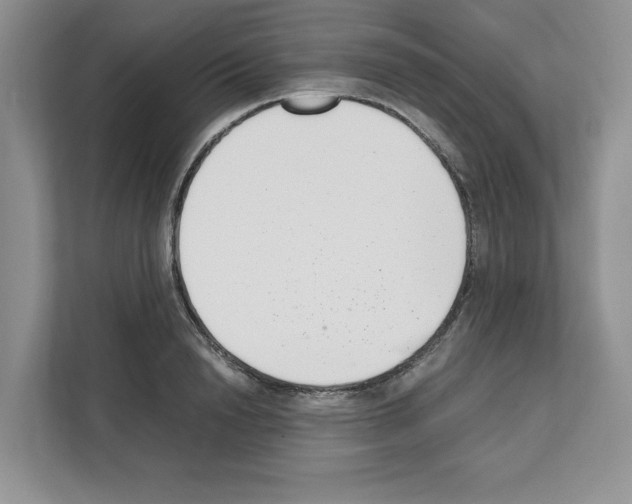 X0000111660846200908281108