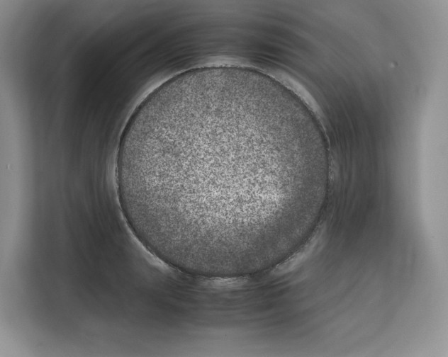 X0000111660847200908281108