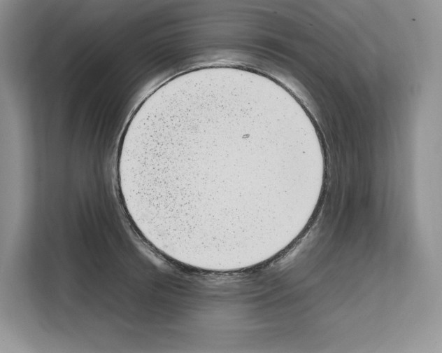 X0000111660850200908281108