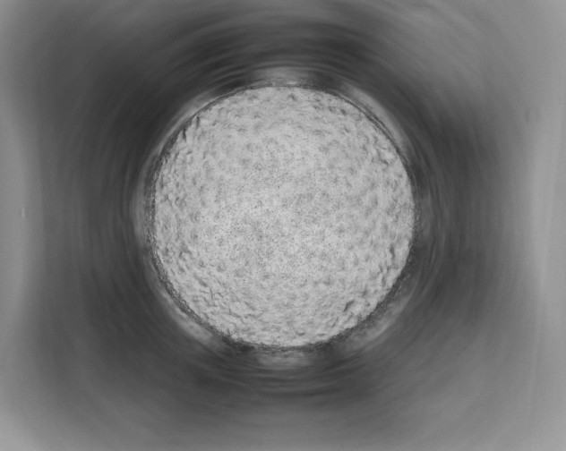 X0000111660851200908281108