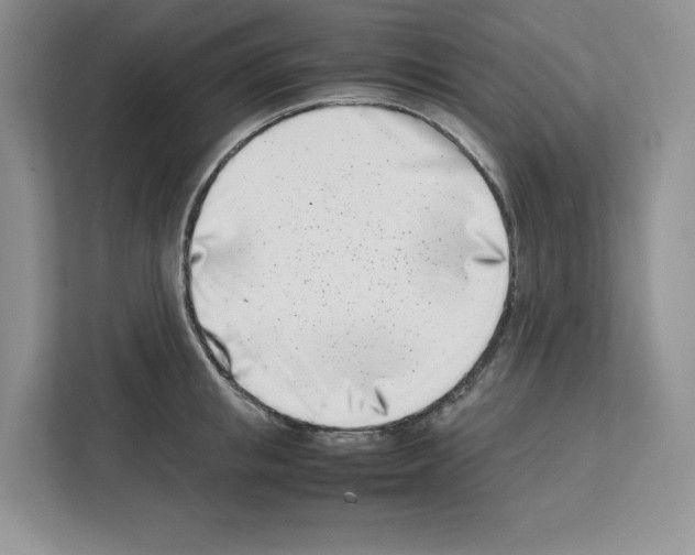 X0000111660853200908281108