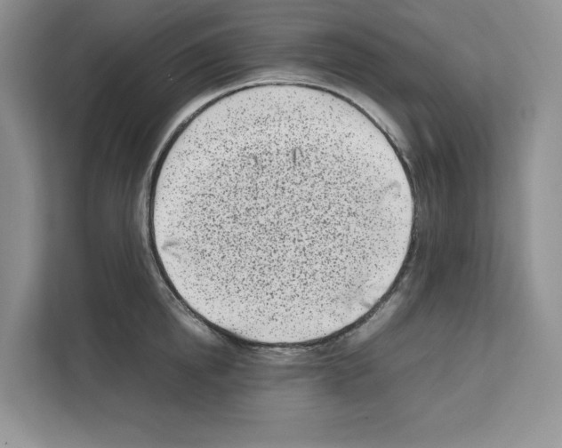 X0000111660854200908281108