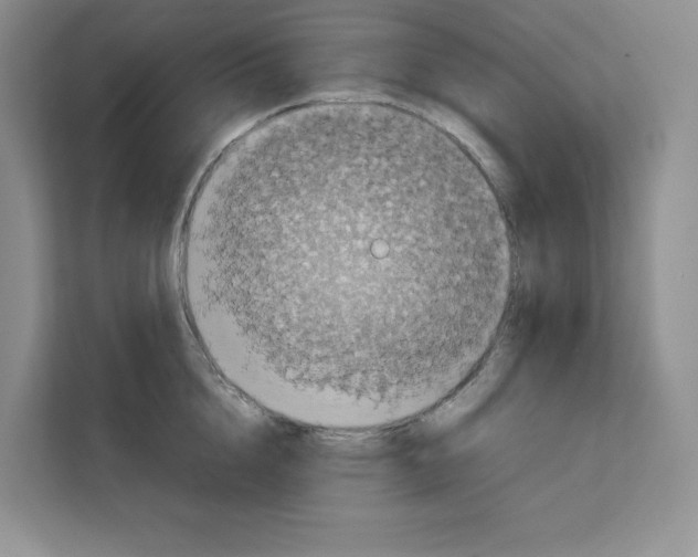 X0000111660856200908281108