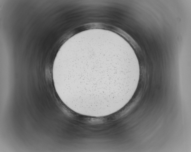 X0000111660857200908281108