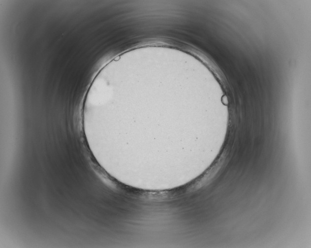 X0000111660858200908281108