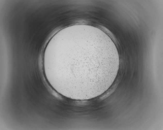 X0000111660859200908281108