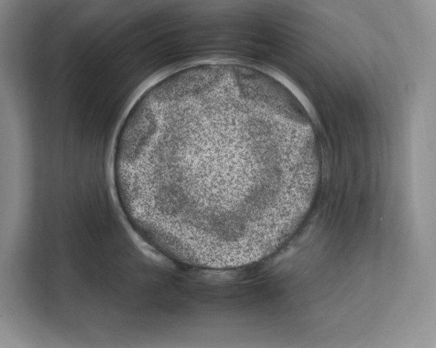 X0000111660861200908281108