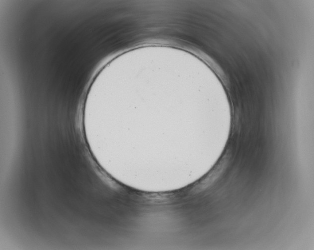 X0000111660862200908281108