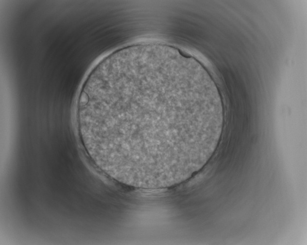 X0000111660864200908281108