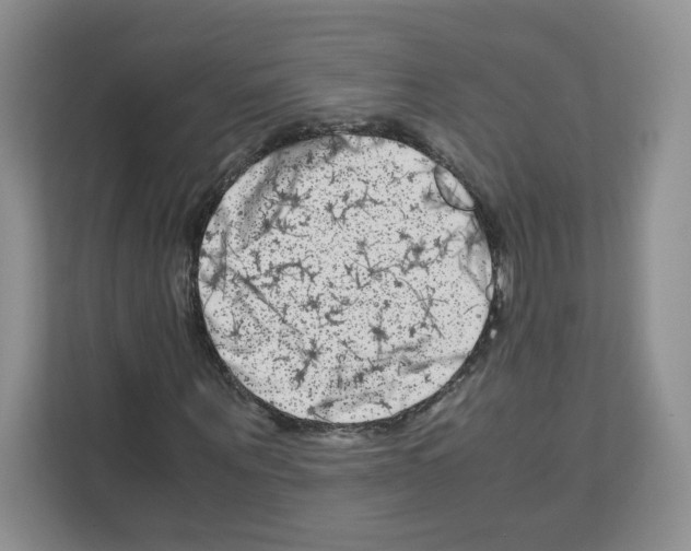 X0000111660867200908281107