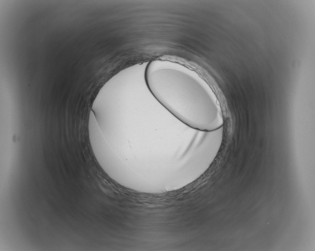 X0000111660868200908281107