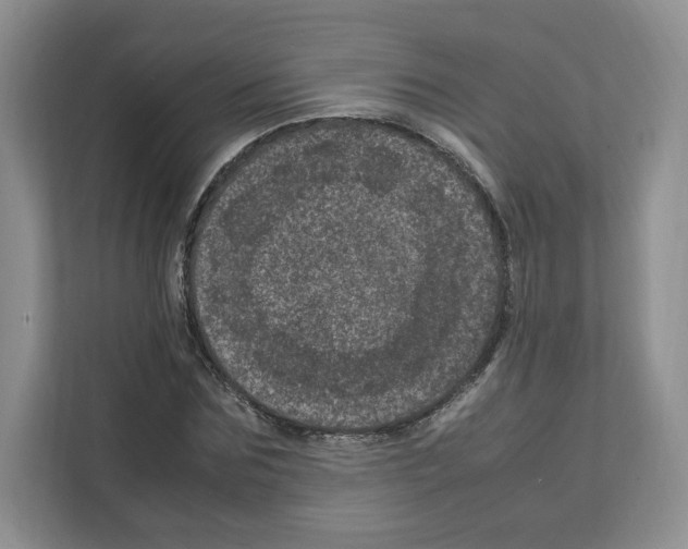 X0000111660875200908281107