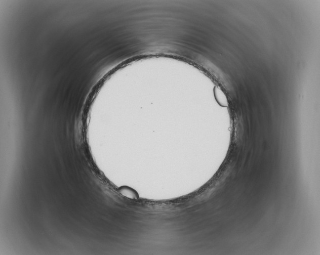 X0000111660876200908281107