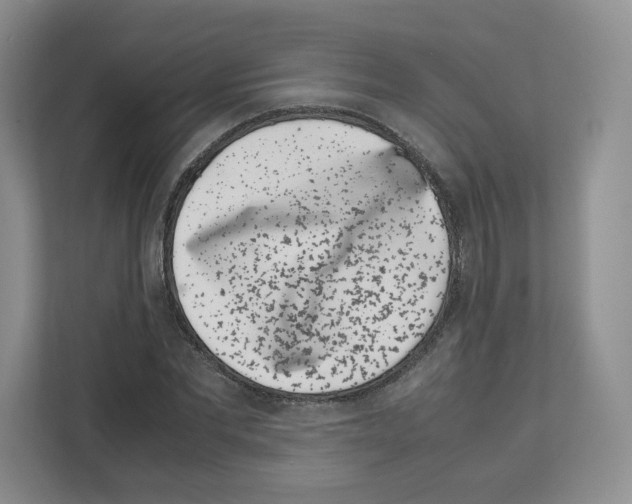 X0000111660877200908281107