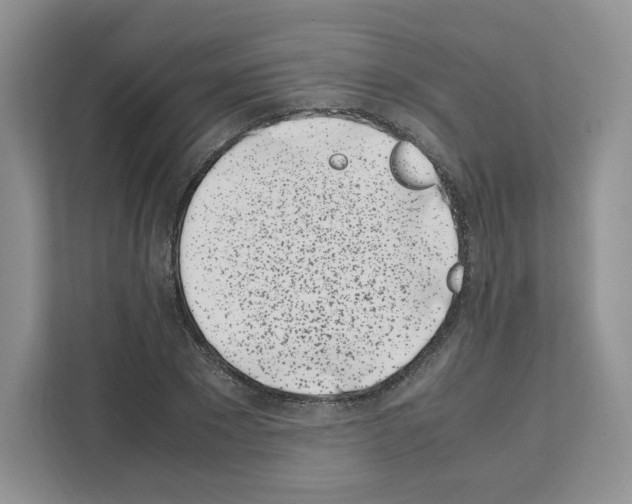 X0000111660881200908281107