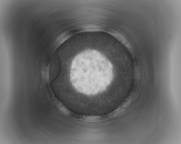 X0000111660889200908281107