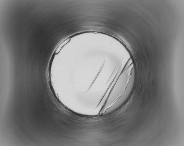 X0000111660891200908281107