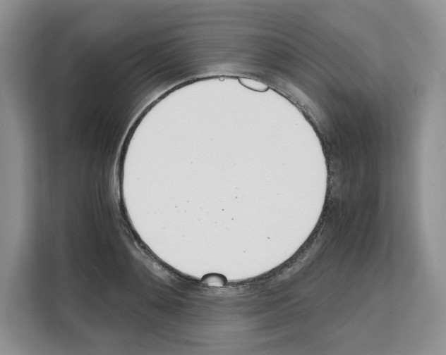 X0000111660892200908281107