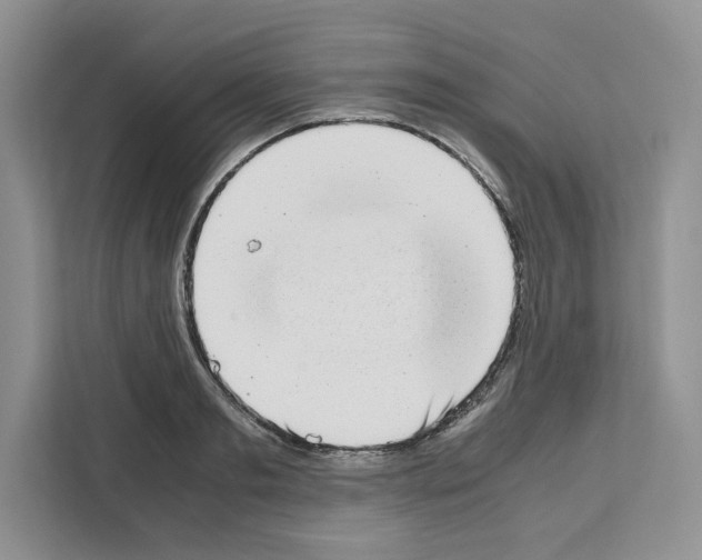 X0000111660893200908281107