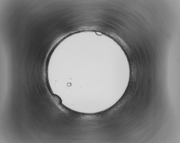 X0000111660894200908281107