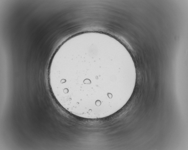 X0000111660895200908281107