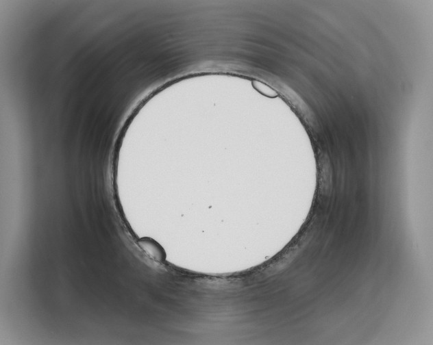 X0000111660896200908281107