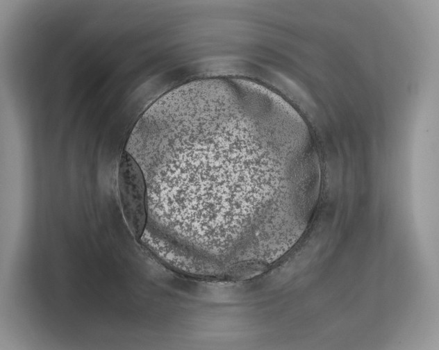 X0000111660897200908281107