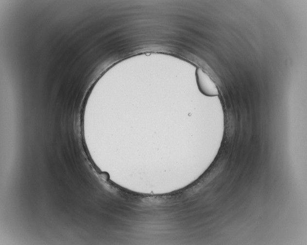 X0000111660898200908281107