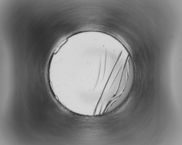 X0000111660901200908281107