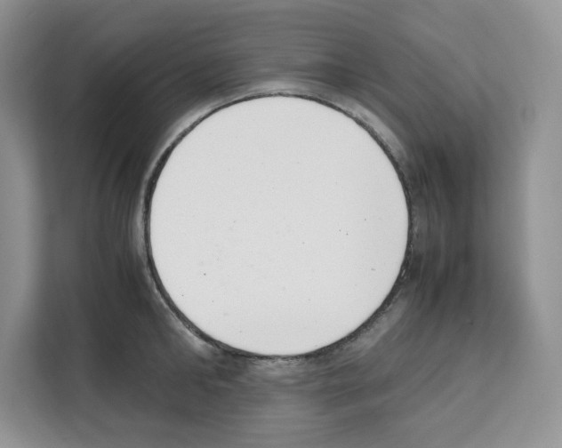 X0000111660902200908281107