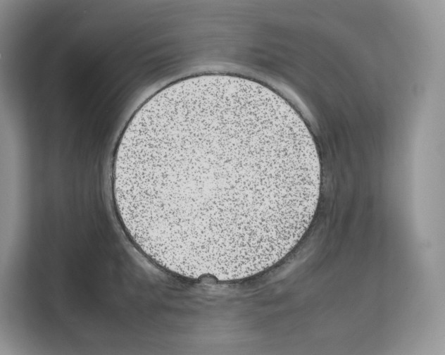 X0000111660903200908281107